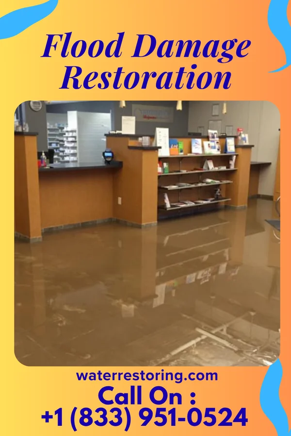 Flood Damage Restoration in Astoria, IL
