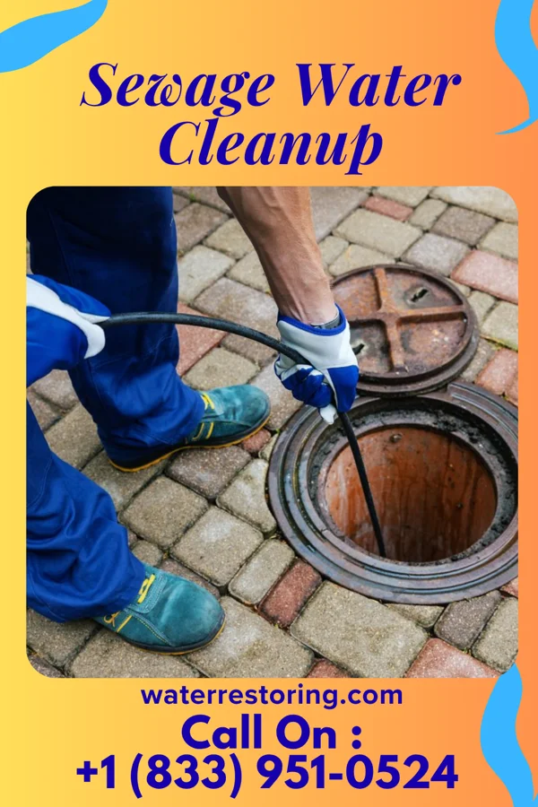 Sewage Water Cleanup in Astoria, IL